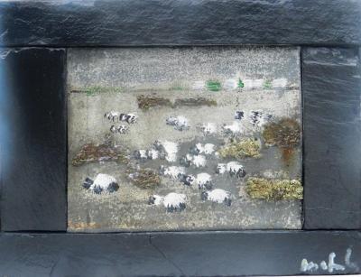 Moutons dans les prés salés en baie de Somme