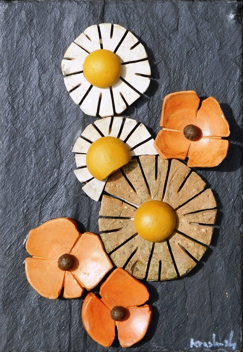 Marguerites et coquelicots