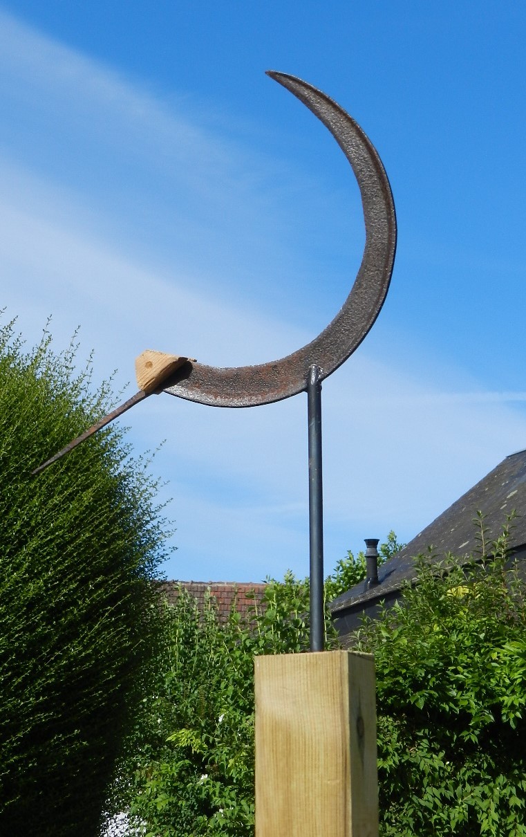 Avocette 2